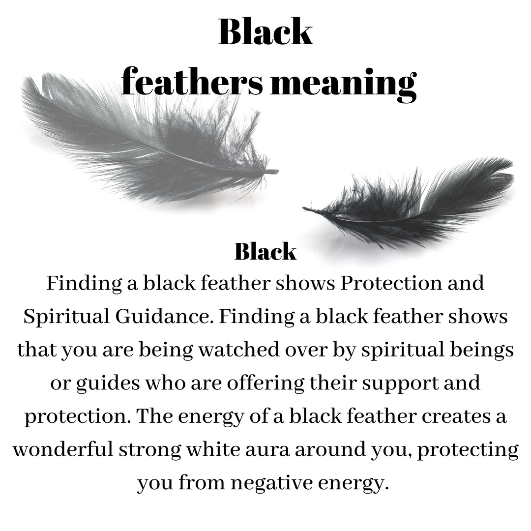 Black Feathers  Feather meaning, Black feather meaning, Feather magic