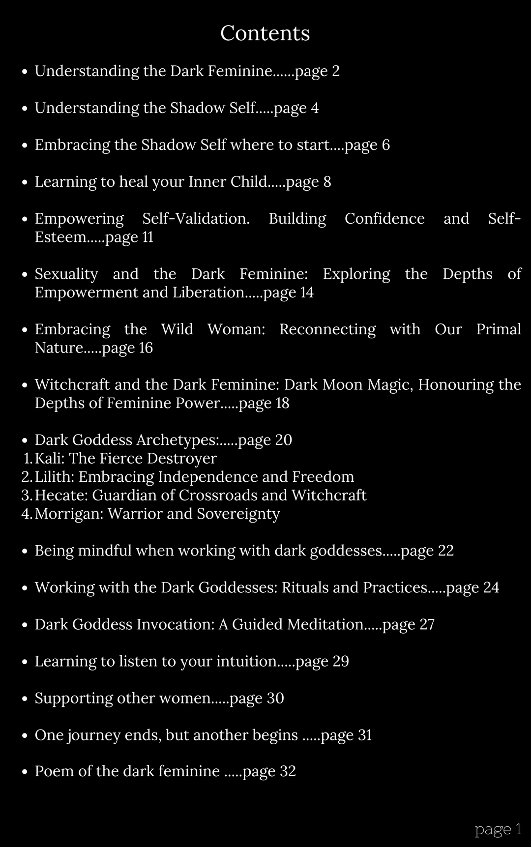 dark femininity e-book